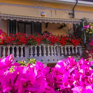 Casa vacanze La Maison Des Bouganvilles, Marina dʼAndora
